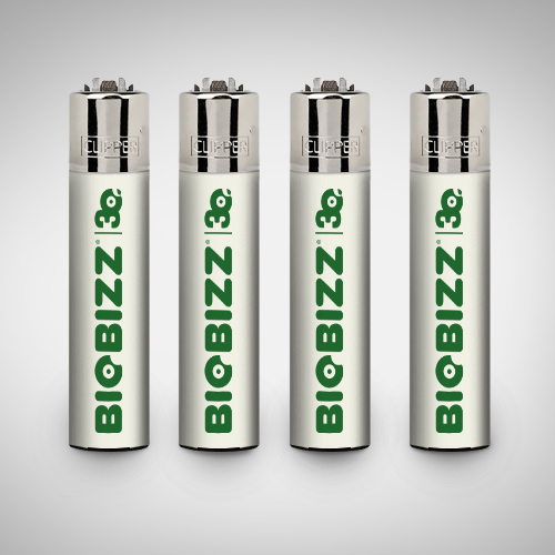 CLIPPER FLAT - Image 5